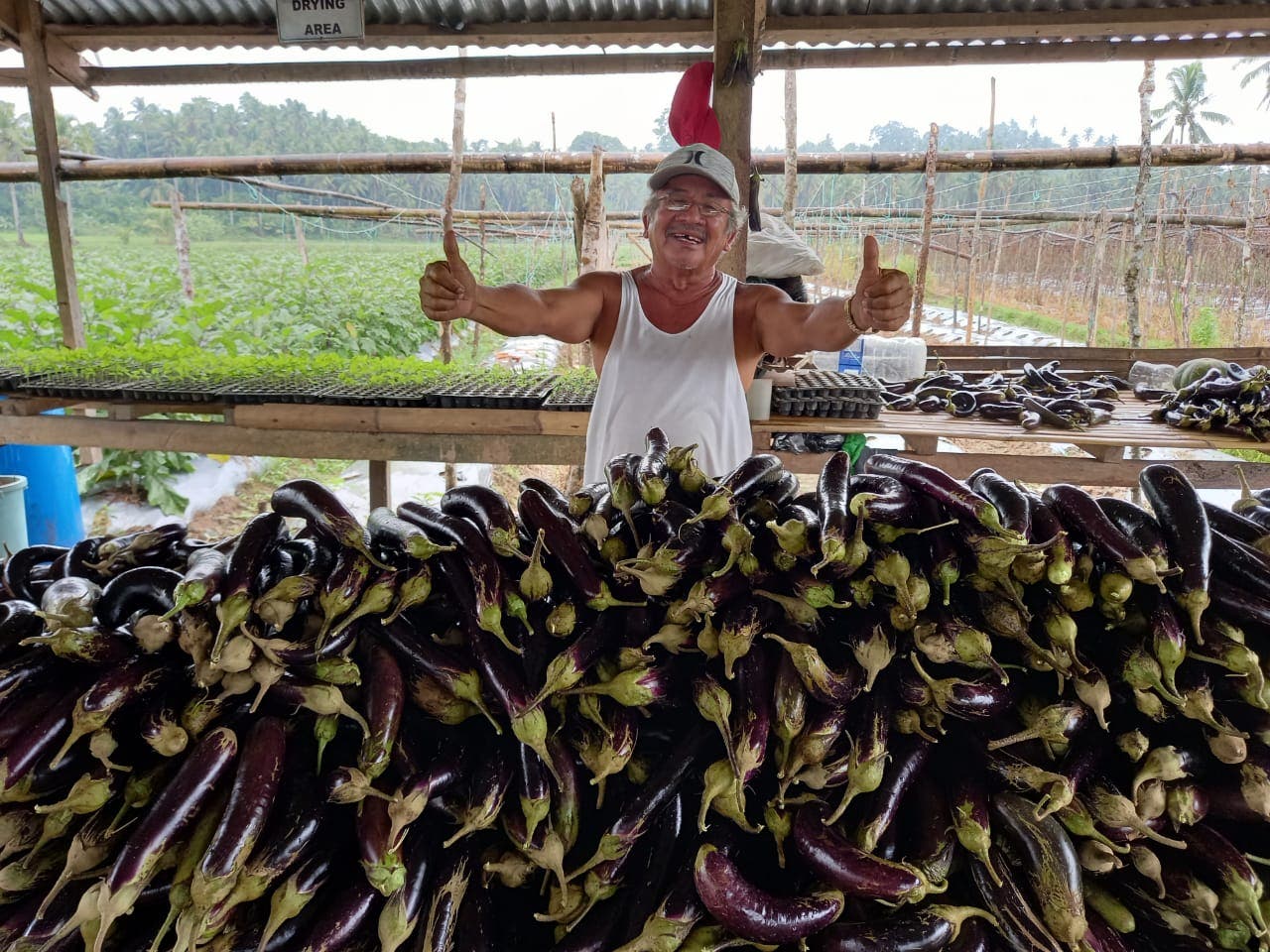 East-West Seed Equips PH Farmers With Technical Skills and Best Practices Through This Program