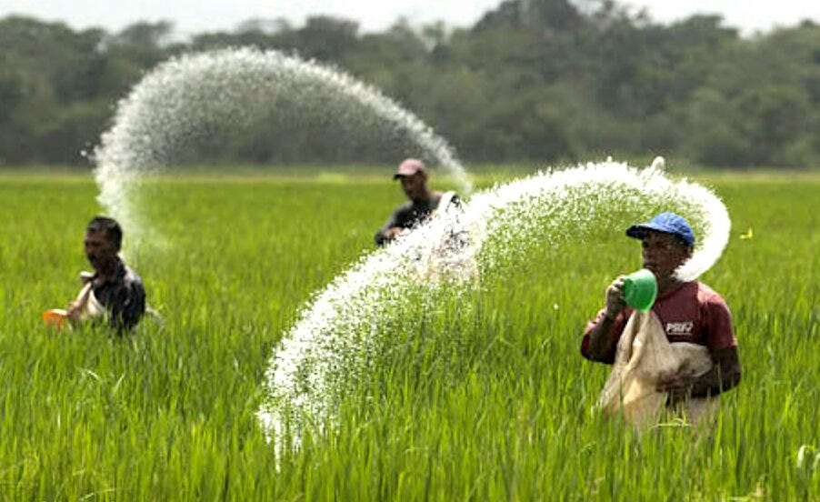Agriculture, Philippines&rsquo; Problem Child